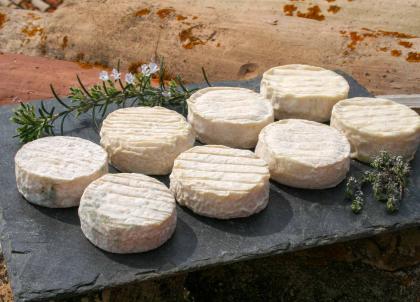 Sur la route des fromages d’Occitanie : itinéraire gourmand de Nîmes aux Pyrénées