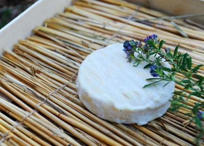 Sur la route des fromages d’Occitanie : itinéraire gourmand de Cahors à Laguiole