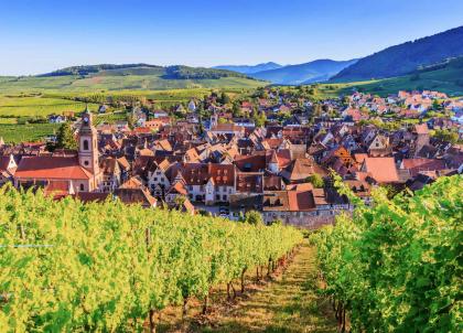 Notre itinéraire sur la Route des Vins d'Alsace