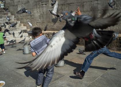 Istanbul Kids