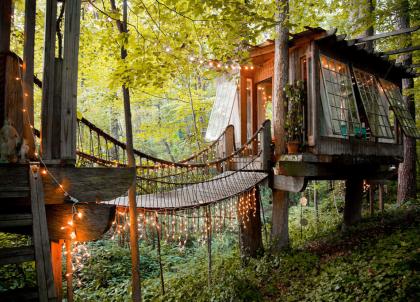 Une cabane spectaculaire dans les arbres de Géorgie