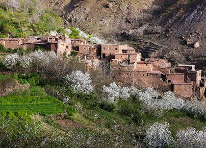 Douar Samra : à la rencontre d'un Maroc authentique dans le Haut Atlas