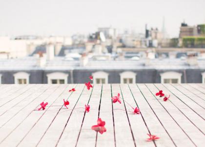 13 des plus beaux rooftops parisiens pour les beaux jours