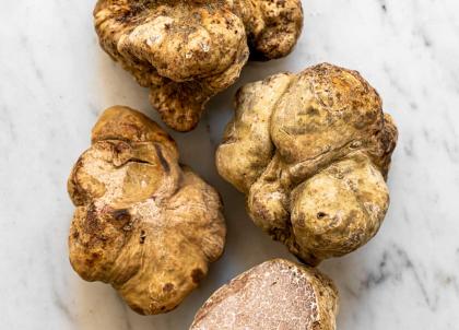 L'hôtel Castille à Paris met à l'honneur la truffe blanche d'Italie