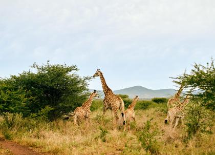 La newsletter hebdo hôtels et voyages - 158