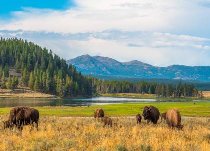 Road trip dans l'Ouest sauvage des Etats-Unis, du Wyoming à la Californie