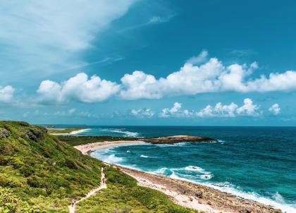 Location de voiture en Guadeloupe : tout ce qu’il faut savoir pour être libre et autonome