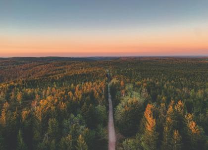 La newsletter hebdo hôtels et voyages - 145