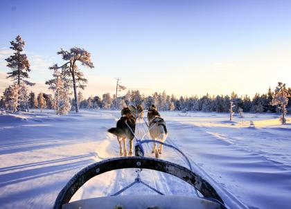 Finlande : sur les traces du petit renne Aïlo en Laponie