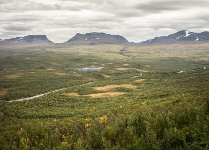 Laponie suédoise en été : les merveilles du parc national d'Abisko