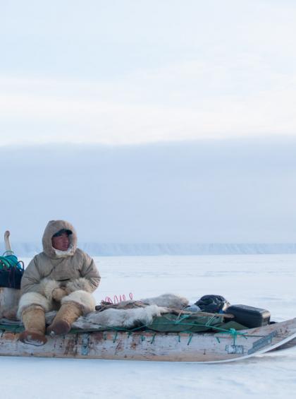 de qaaanaaq a siorapaluk en traineau a chien dans le grand nord du groenland