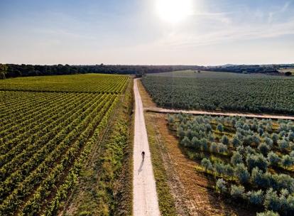 Itinéraire vélo à Uzès : notre guide pour une balade inoubliable