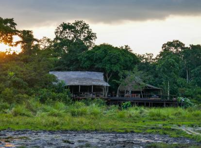 Kamba Africa : quand l’hospitalité devient un outil de conservation au Congo Brazzaville
