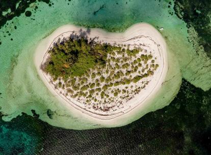 Alphonse Island, Seychelles : le vrai luxe, c’est la vie sauvage