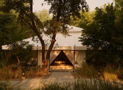 Notre avis sur l’Aman-i-Khás, glamping et safari ultra luxe au cœur de la jungle du Rajasthan