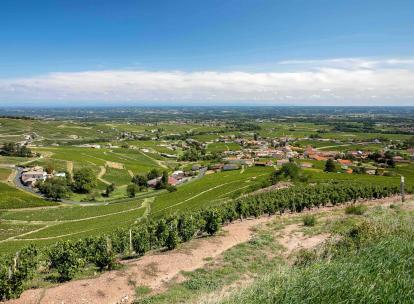 Week-end dans le Beaujolais : nos bonnes adresses