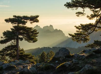 Nos idées d'hôtels pour un week-end nature en Corse