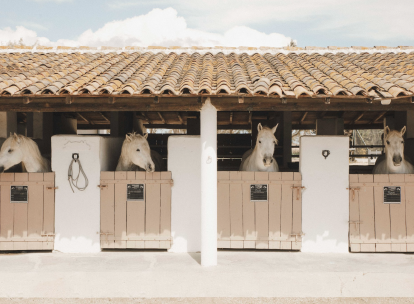 Séjour équestre : les plus beaux hôtels pour monter à cheval