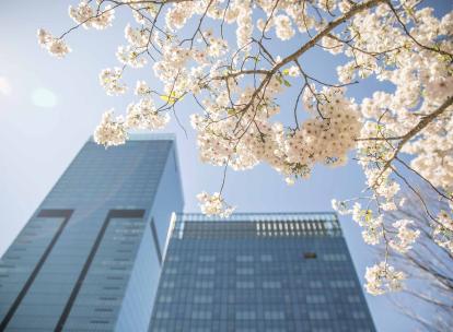 The Okura Tokyo, une version unique de l'hospitalité japonaise 