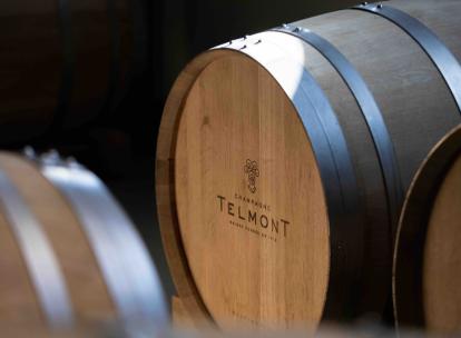 Les meilleurs champagnes biologiques : notre sélection de maisons à suivre