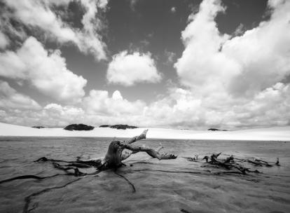 Les dunes irréelles des Lençóis Maranhenses