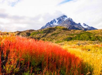 Torres del Paine, puissante nature