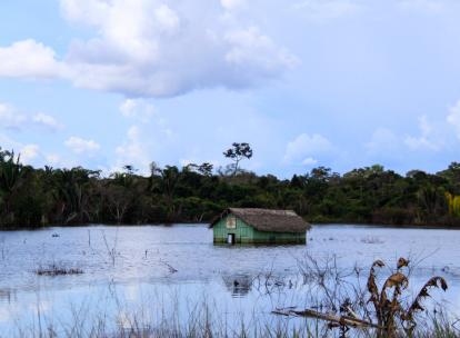 Sombre Amazone - De Juliaca à Porto-Velho (Partie 1)