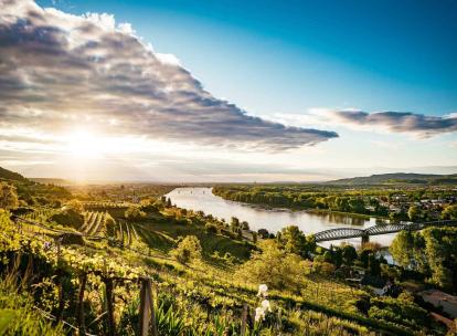 Vallée de la Wachau en Autriche : itinéraire de 3 jours entre forêt, vignes et Danube