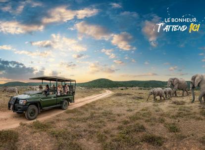 Slow safari en Afrique du Sud : comment explorer le bush de façon responsable