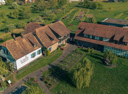 La Merise, diamant délicat de la gastronomie alsacienne