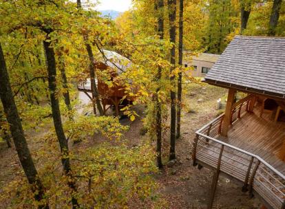 Le Domaine de Haslach rouvre dans les Vosges avec hôtel, écolodges et cabanes perchées