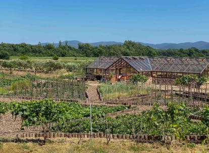 72 heures sur la route des vins de Provence, itinéraire des plus beaux vignobles en Porsche