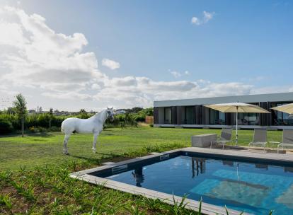 Séjour équestre : les plus beaux hôtels pour monter à cheval