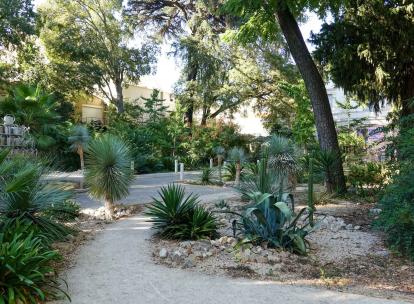Que faire à Montpellier pour un week-end de 2 à 3 jours ?