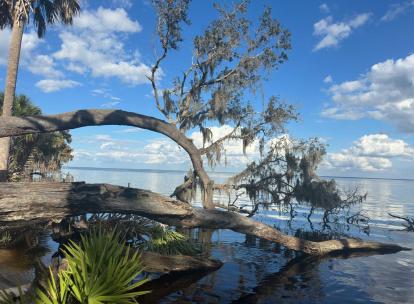 D’Ocala à Amelia Island : itinéraire en Floride du Nord