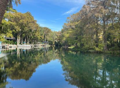 D’Ocala à Amelia Island : itinéraire en Floride du Nord