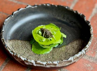 La cueillette de plantes sauvages : nouvelle tendance food à déguster au printemps des Alpes à Paris