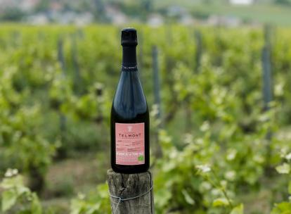 Les meilleurs champagnes biologiques : notre sélection de maisons à suivre Les meilleurs champagnes biologiques : notre sélection de maisons à suivre