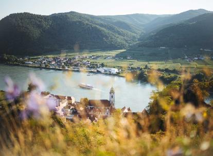Vallée de la Wachau en Autriche : itinéraire de 3 jours entre forêt, vignes et Danube