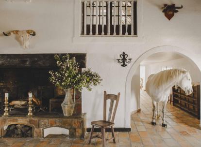 Où dormir en Camargue : top 5 des plus beaux hôtels 