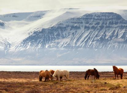 Notre itinéraire en Islande d’une semaine, 7 jours dans une nature à couper le souffle