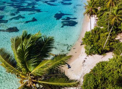 Visiter la Guadeloupe : notre itinéraire de 7 à 10 jours aux Antilles