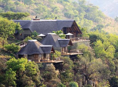 Guide du safari responsable : 5 idées pour un voyage plus durable