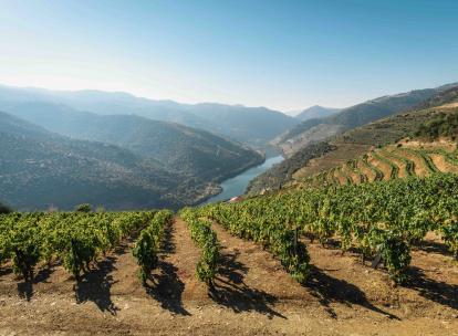 Notre avis sur la Quinta São José do Barrilário, nouvel hôtel dans le Douro