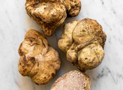 L'hôtel Castille à Paris met à l'honneur la truffe blanche d'Italie