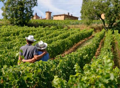 Vignobles en Scène : le festival pour les amoureux du vin et des terroirs