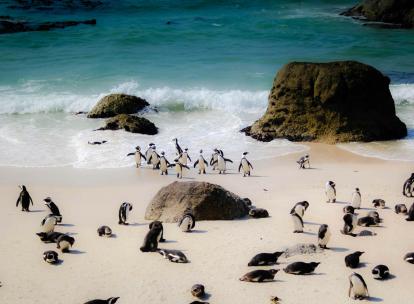 La newsletter hebdo hôtels et voyages - 153