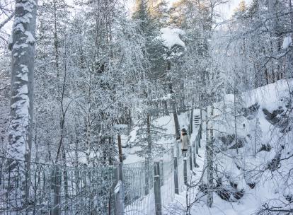 Finlande : sur les traces du petit renne Aïlo en Laponie
