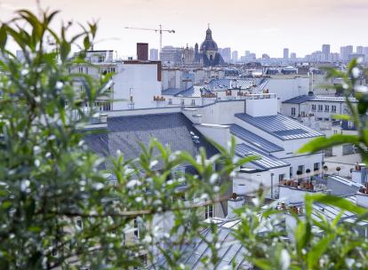 3. au_top : cuisine méditerranéenne avec vue dans le Marais