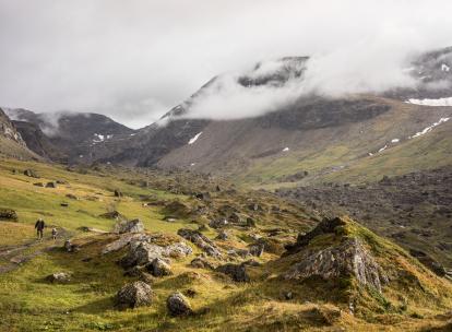 Laponie suédoise en été : les merveilles du parc national d'Abisko